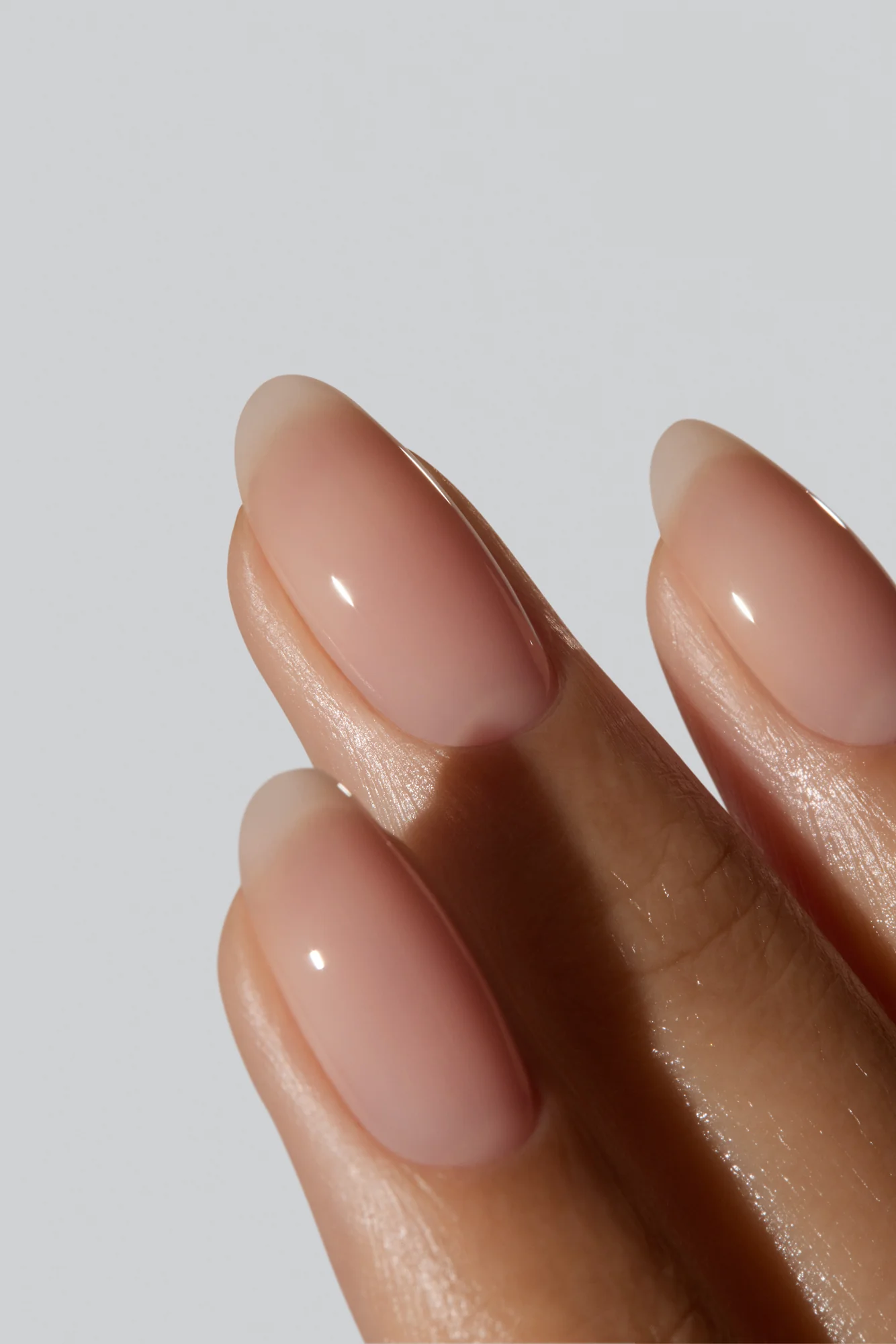 Apricot Oil - Image 3
