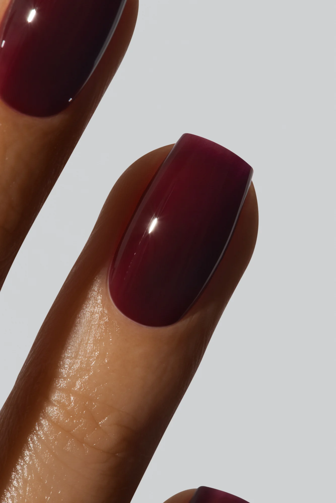 Cabernet 2.0 - Image 3