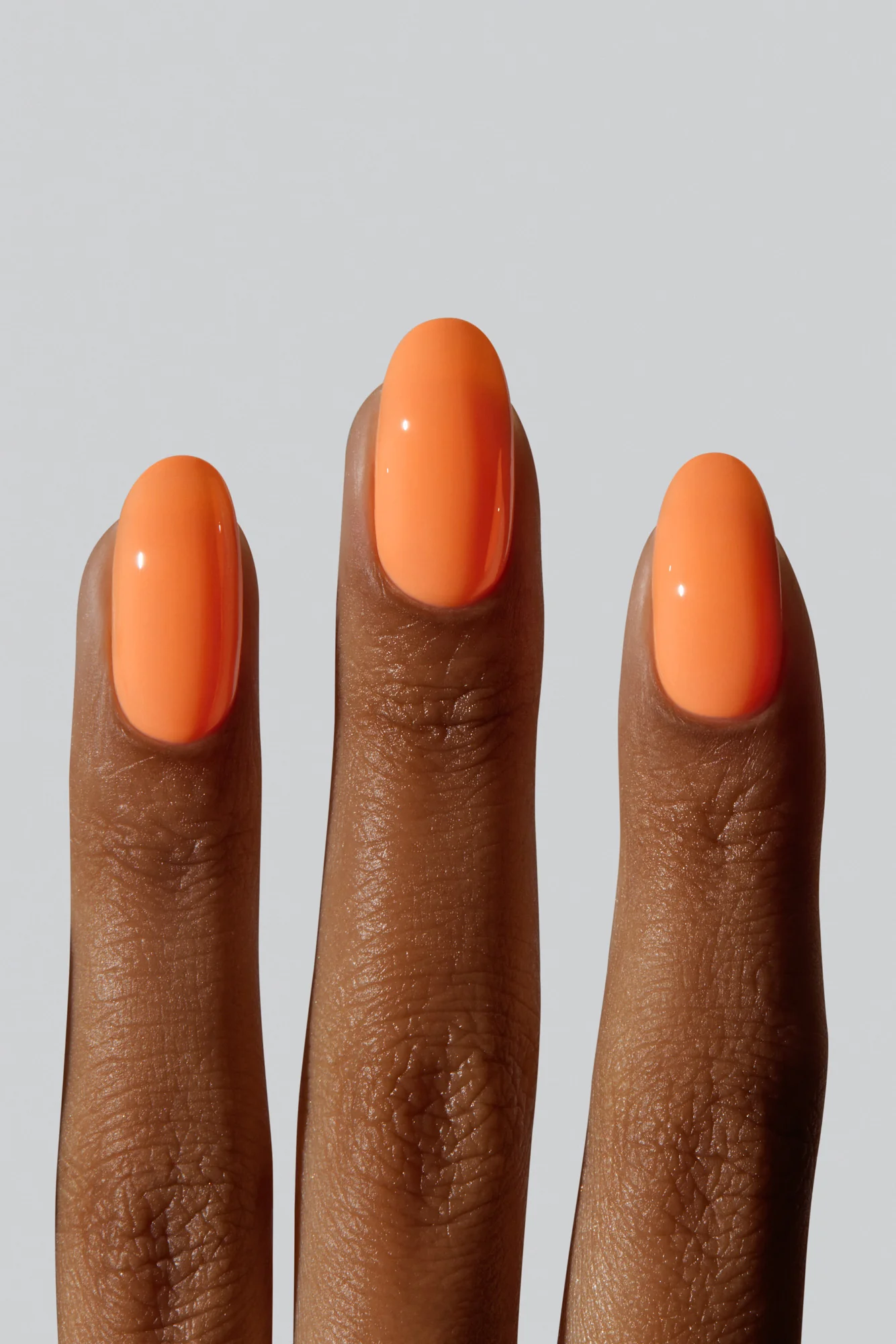 Cantaloupe - Image 4