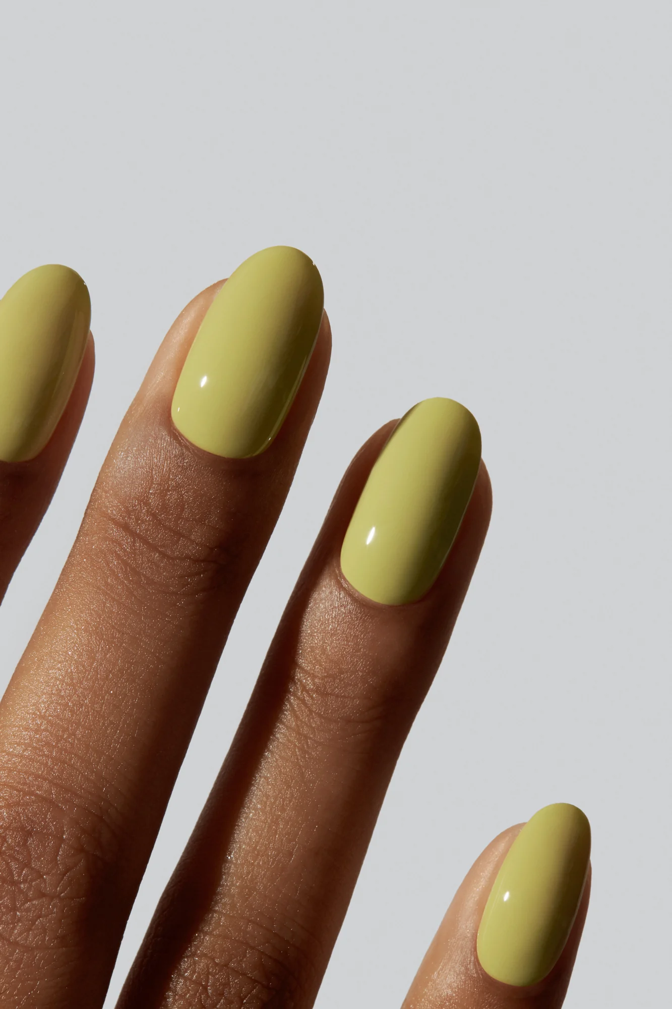 Chartreuse - Image 3
