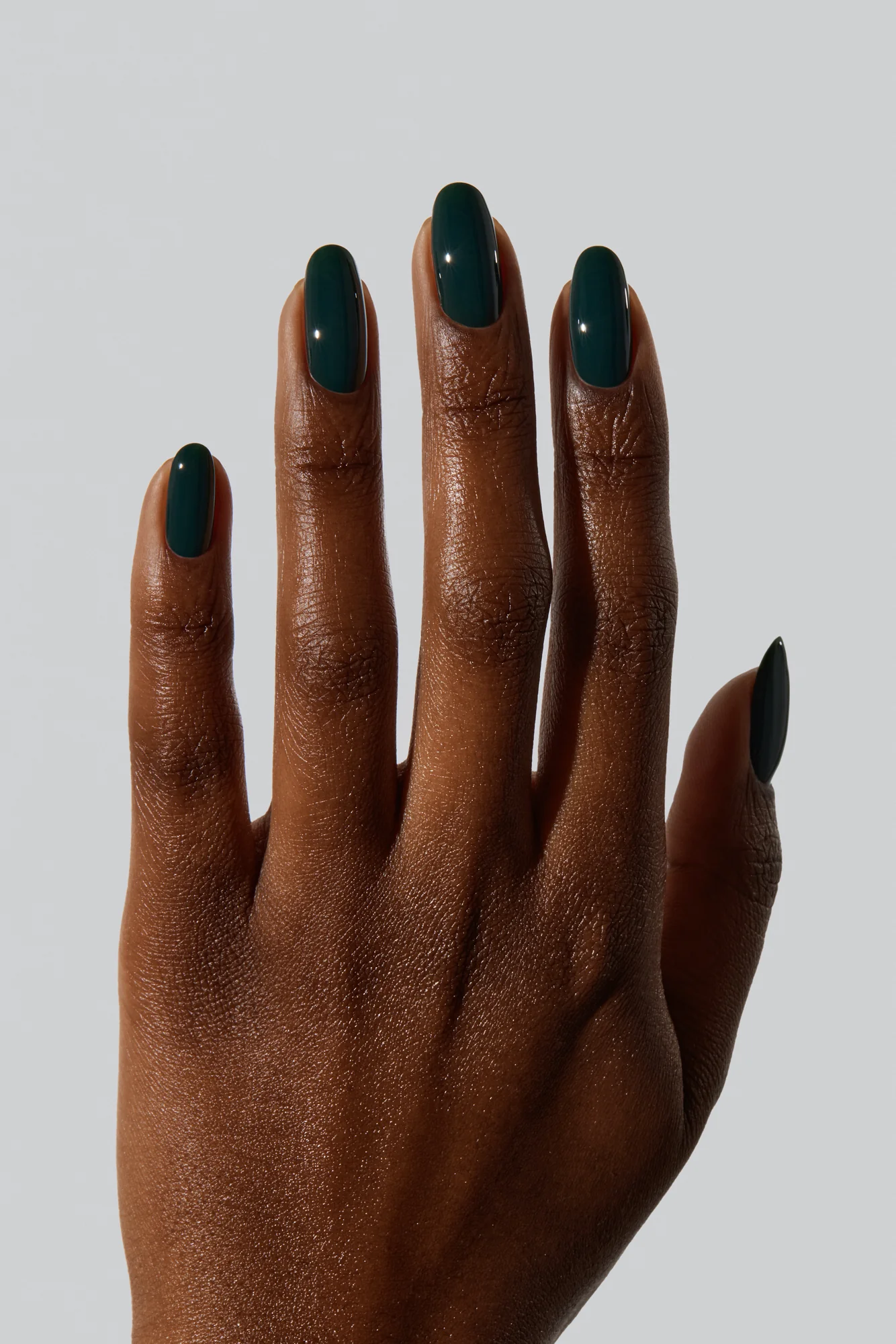 Dark Teal - Image 4