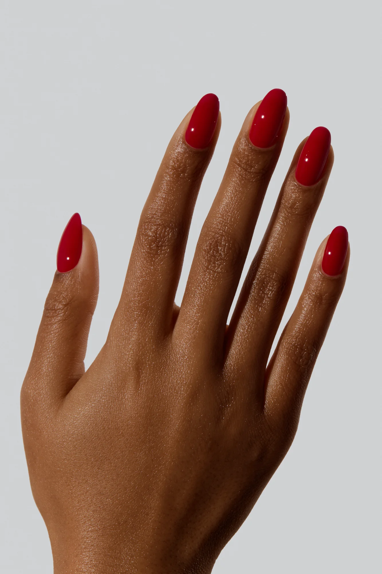 Morello - Image 2
