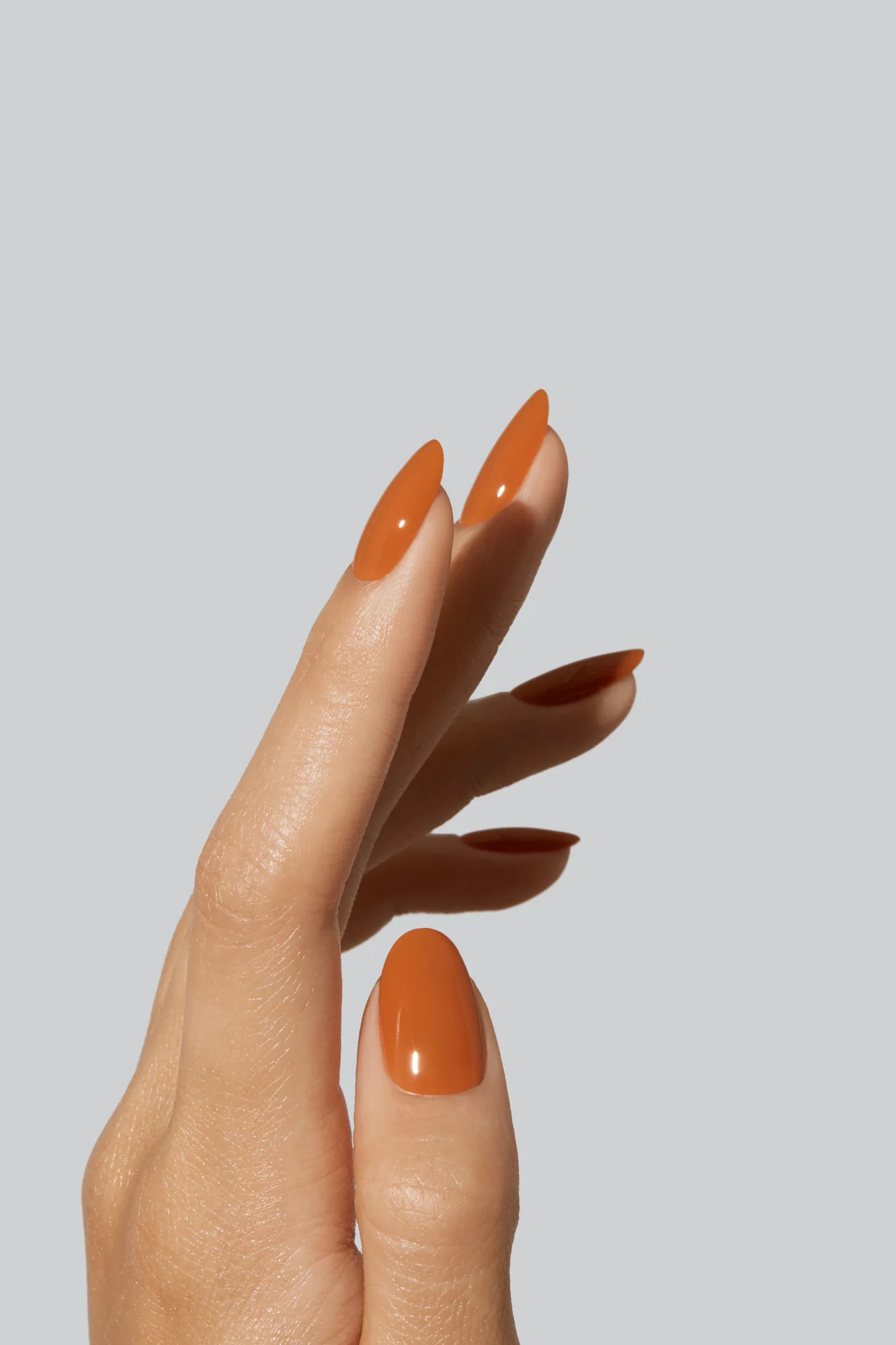 Orange Leather - Image 2