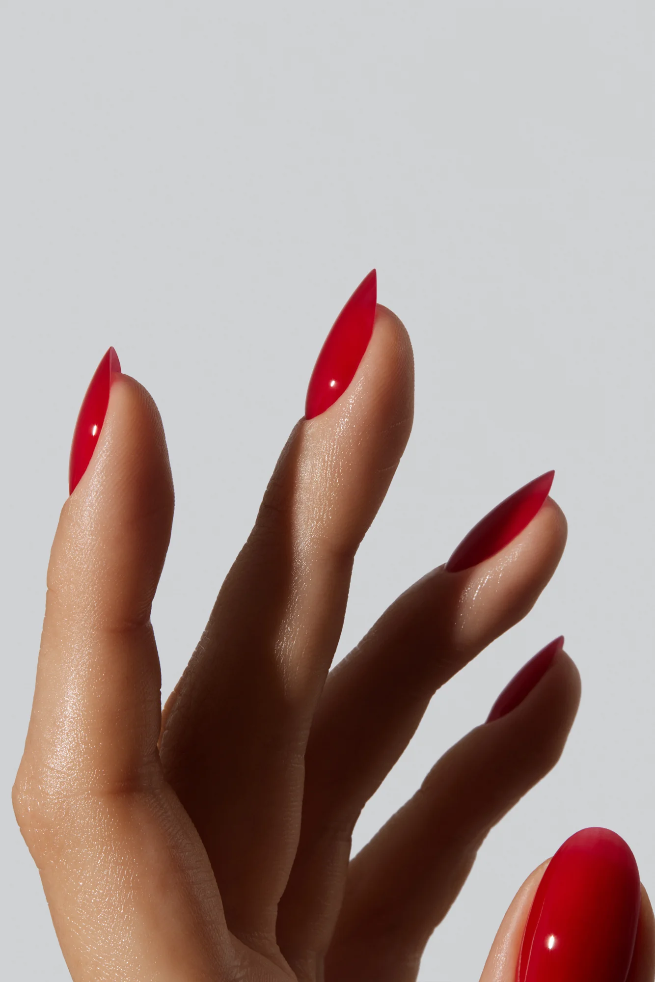 Pomegranate - Image 4