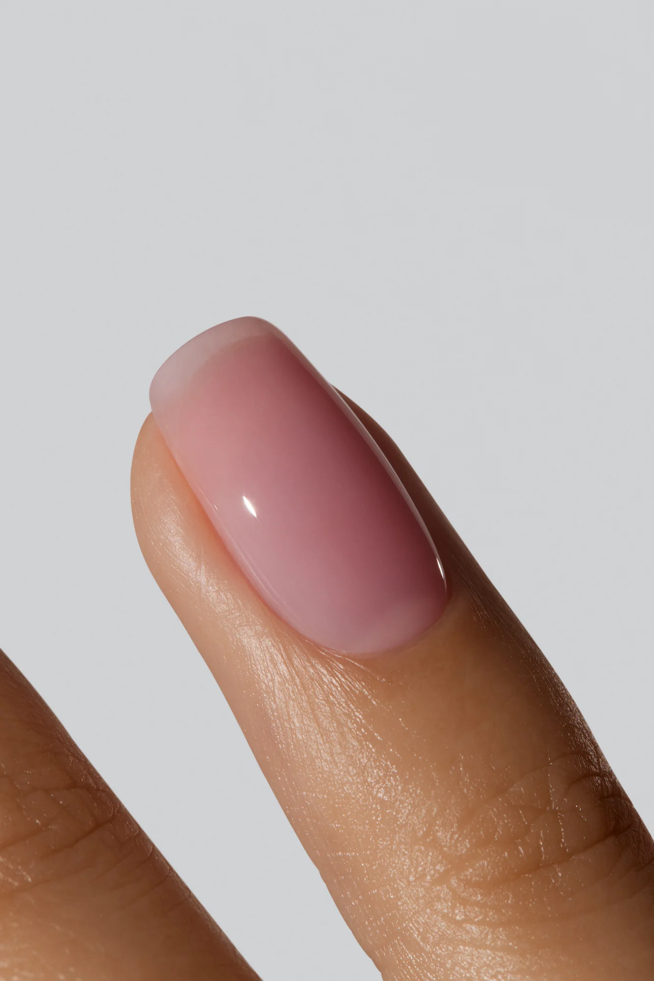 Rosehip Oil - Image 3