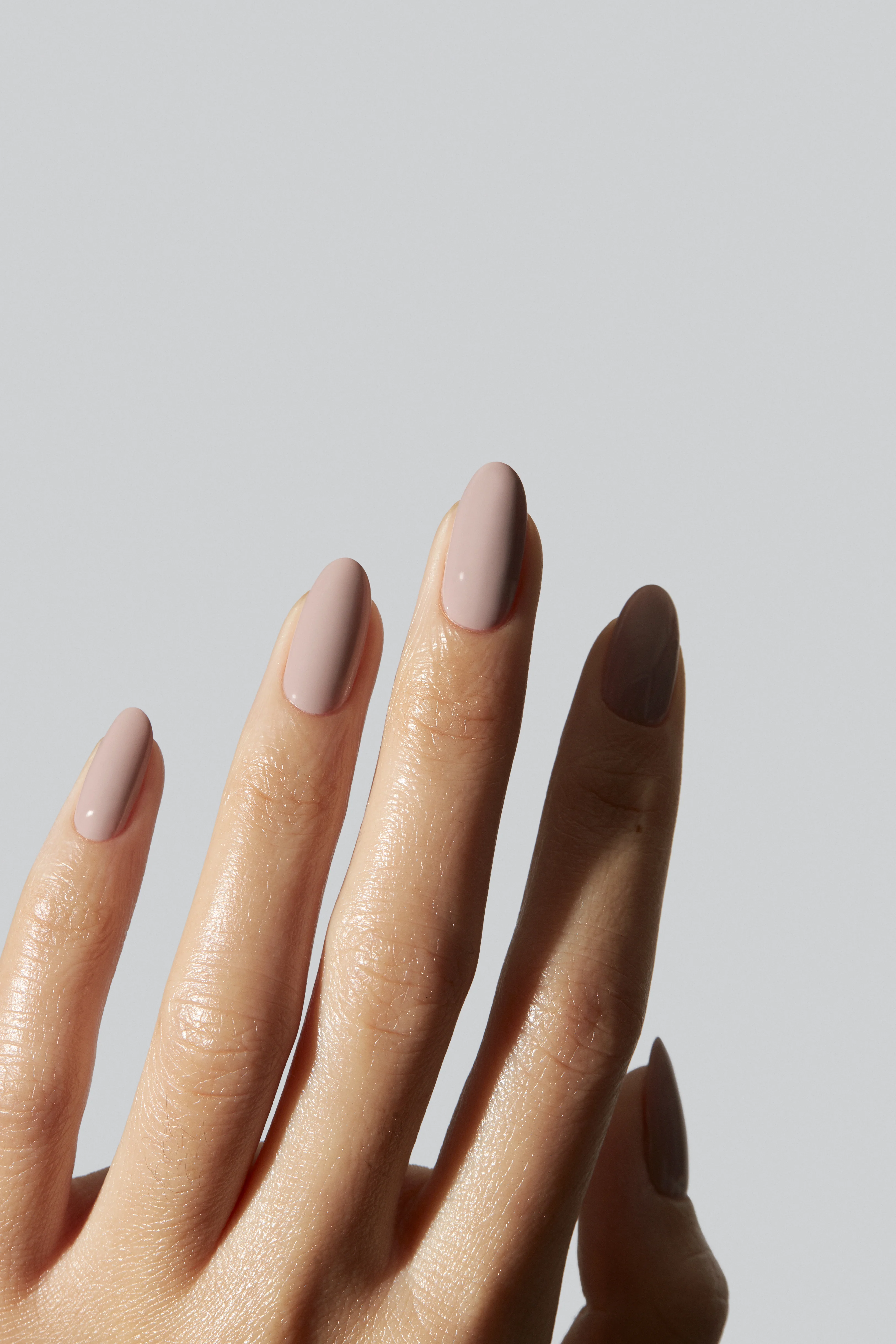 Taupe - Image 3